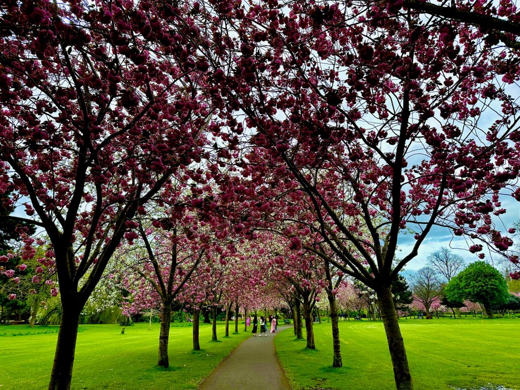 First impressions of&nbsp;Ireland