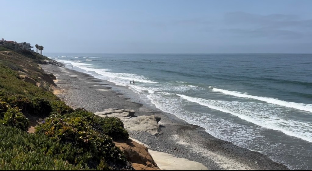 Who says you can’t go&nbsp;home?